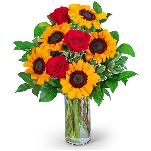Rosy Sunflowers