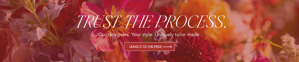 Designer's Choice