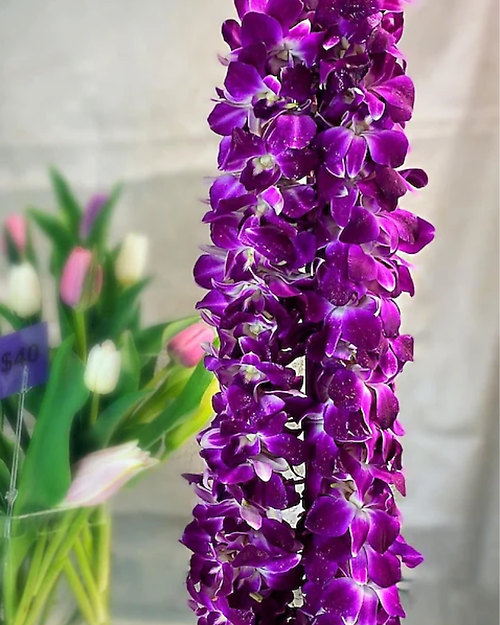 Double Orchid Lei