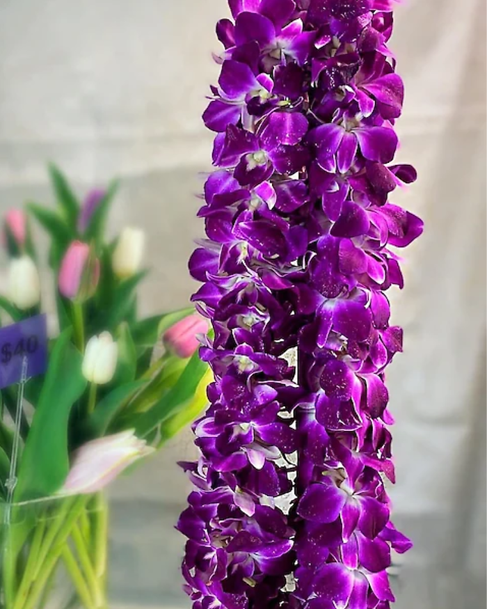 Double Orchid Lei