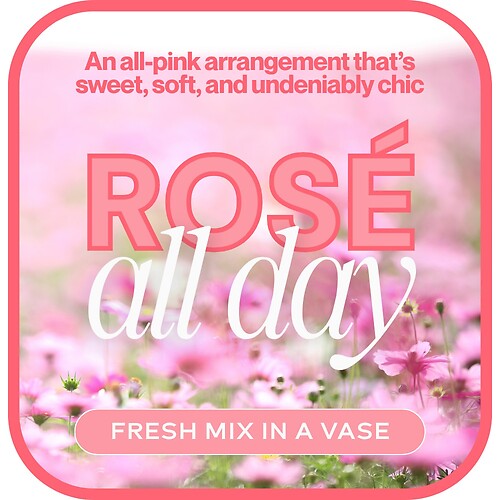 All Pink - Designer&#039;s Choice