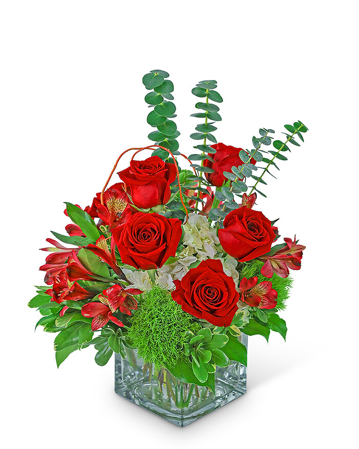 Sinatra Rose