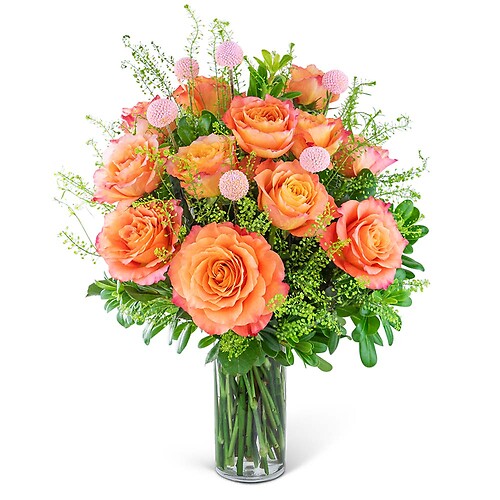 One Dozen Free Spirit Rose Symphony