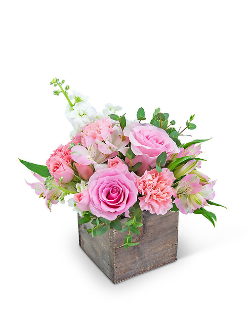 Pink Petal-Pusher