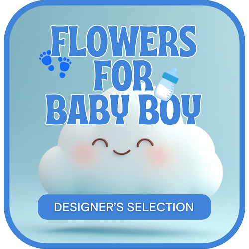 Designer&#039;s Selection Baby Boy