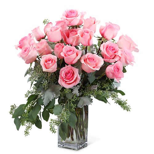 Pink Roses (18)