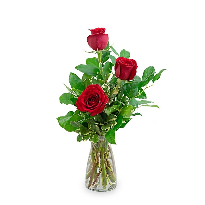 Red Roses (3)