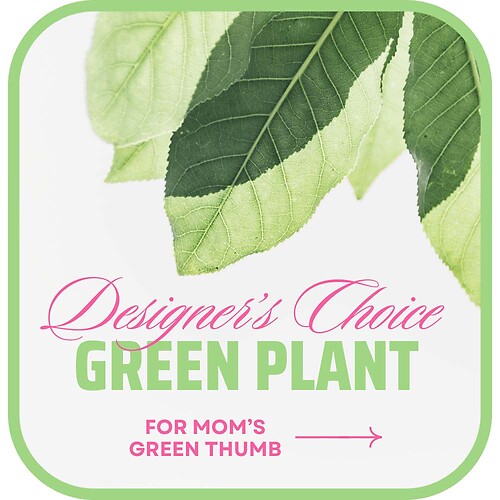 Designer&#039;s Choice Green Plant