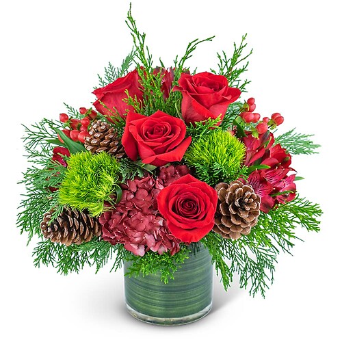 Festive Cranberry