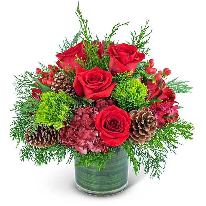 Festive Cranberry