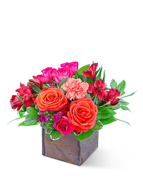 Sweet Flora