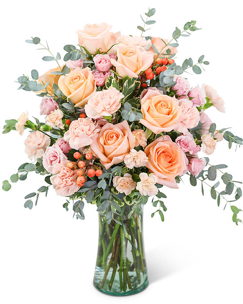 Sorbet Rose Garden
