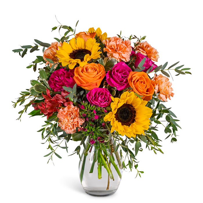 Fiesta Bloom