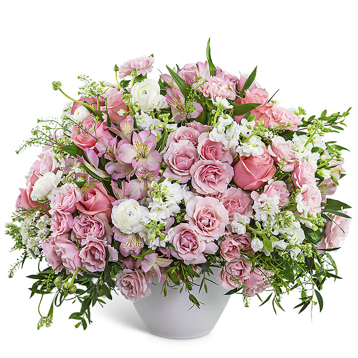 Provence Rose Garden